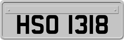 HSO1318