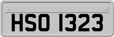 HSO1323
