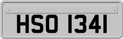 HSO1341