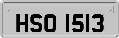 HSO1513