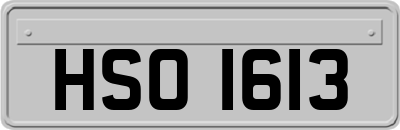 HSO1613