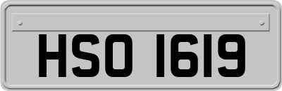 HSO1619