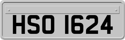 HSO1624