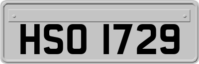 HSO1729