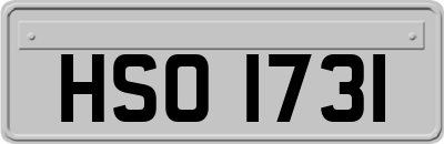 HSO1731