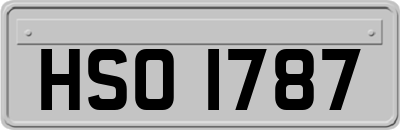 HSO1787