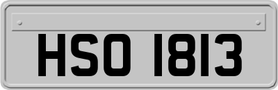HSO1813