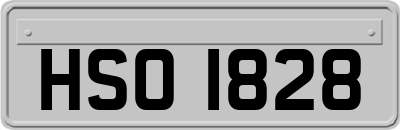HSO1828