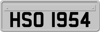 HSO1954