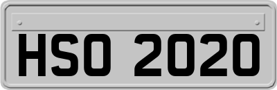 HSO2020