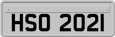 HSO2021