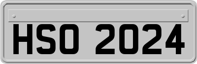 HSO2024