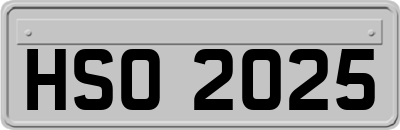 HSO2025