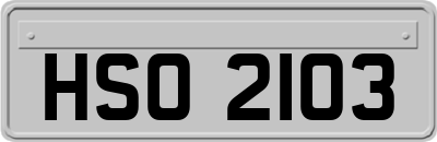 HSO2103