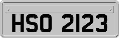 HSO2123