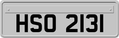 HSO2131
