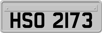 HSO2173