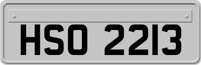 HSO2213
