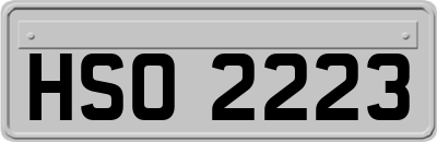 HSO2223