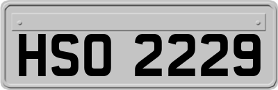 HSO2229