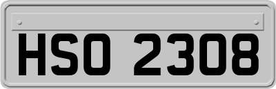 HSO2308