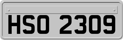 HSO2309