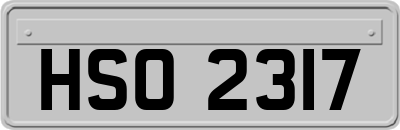 HSO2317