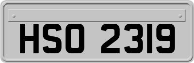 HSO2319
