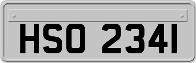 HSO2341