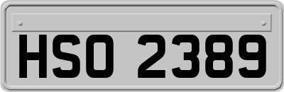 HSO2389