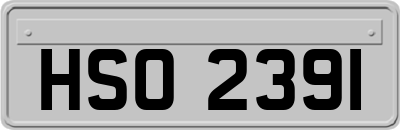 HSO2391
