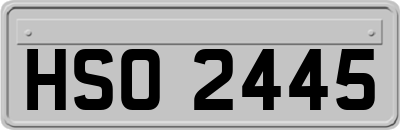 HSO2445