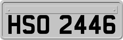 HSO2446