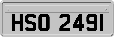 HSO2491