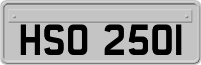 HSO2501