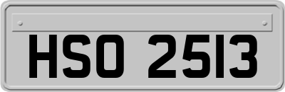 HSO2513