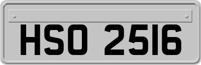 HSO2516