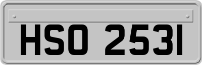 HSO2531