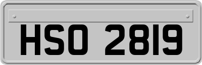 HSO2819