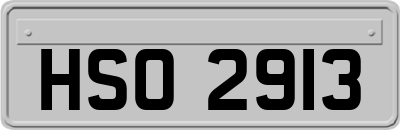 HSO2913