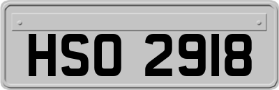 HSO2918