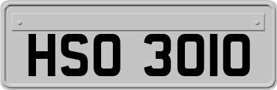 HSO3010