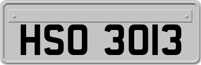 HSO3013