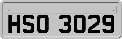 HSO3029