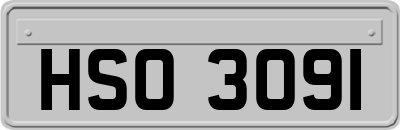 HSO3091