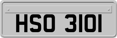 HSO3101