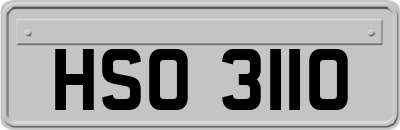 HSO3110