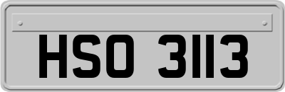 HSO3113