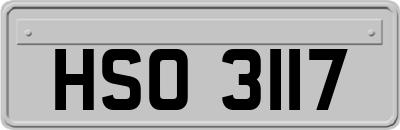 HSO3117