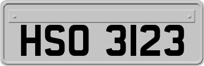 HSO3123